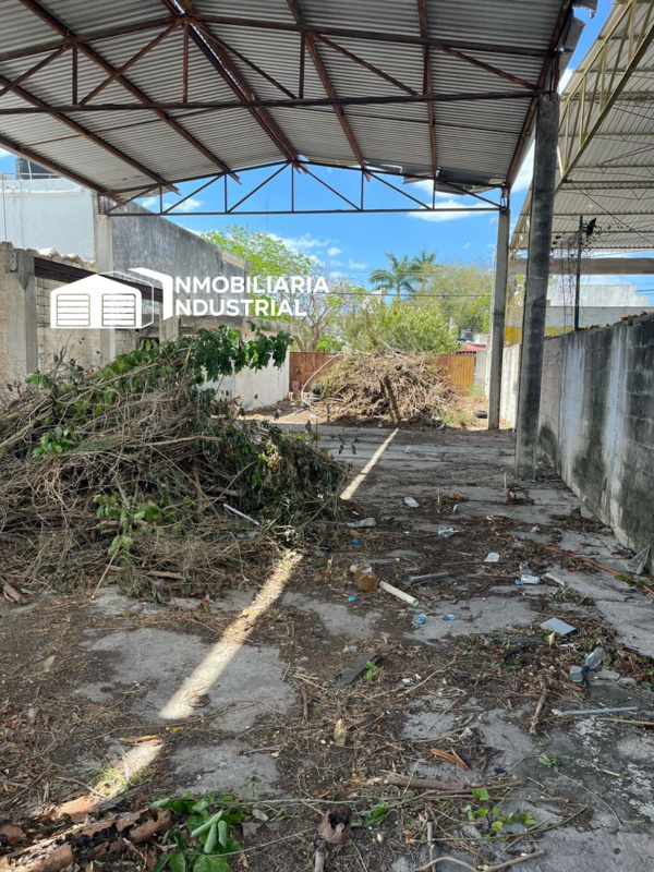 TERRENO DIAZ ORDAZ MERIDA YUC (2)
