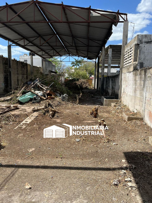 TERRENO DIAZ ORDAZ MERIDA YUC (5)
